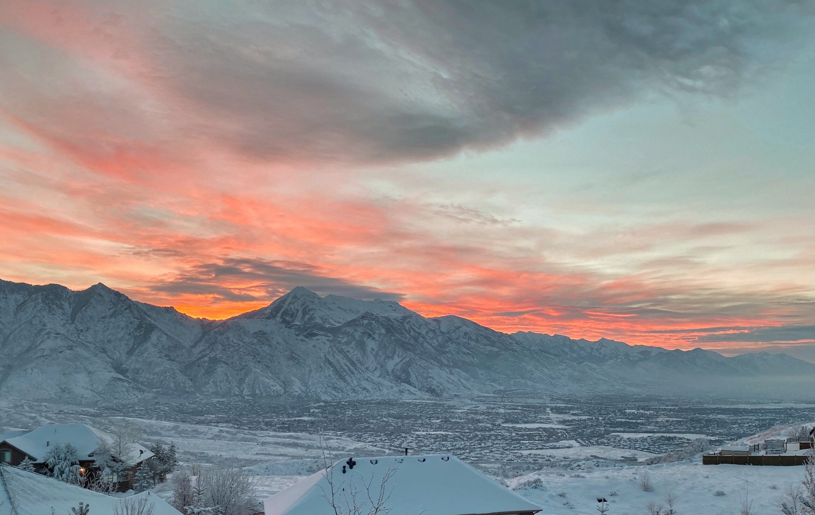 50874967512_32dd0a2ddc_o scaled